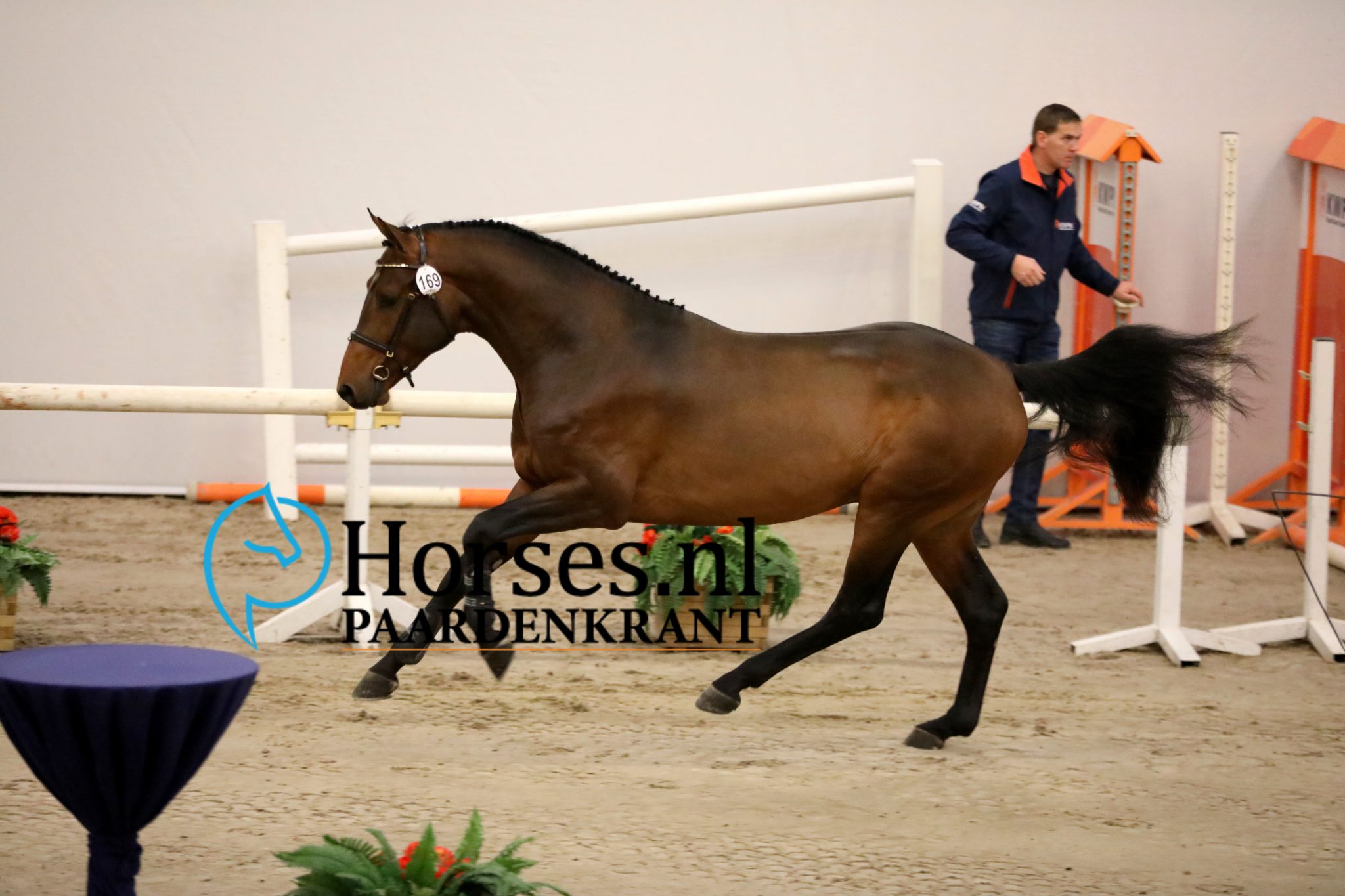 Lennon HBC - Afbeelding 4