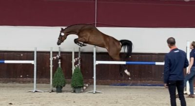 Meline HBC springt naar 90 punten in Boijl