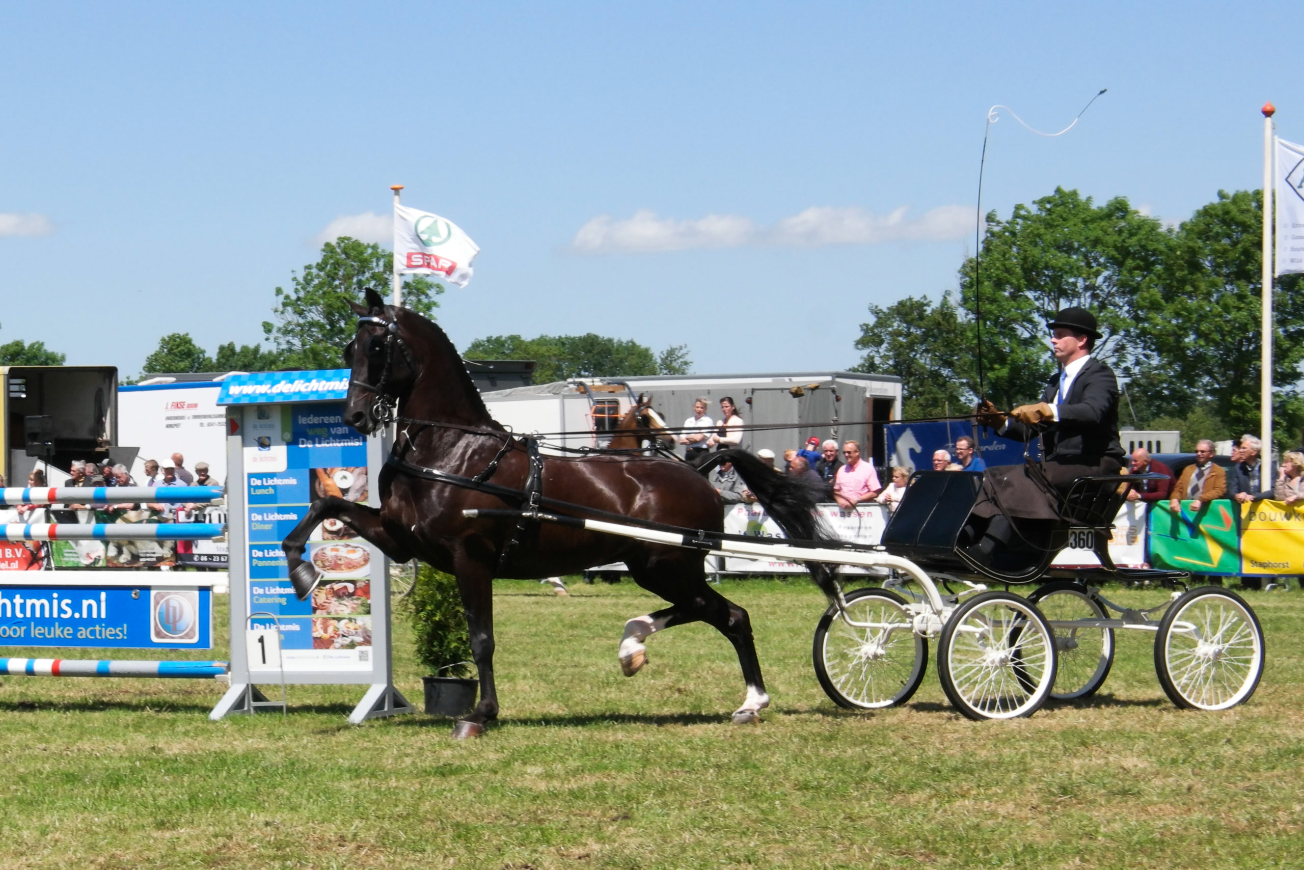 CH Eext: indrukwekkend afscheid van illuster duo Brandy en Harry