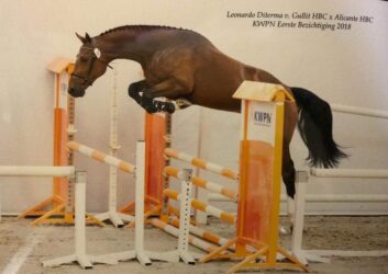 Sportresultaten: