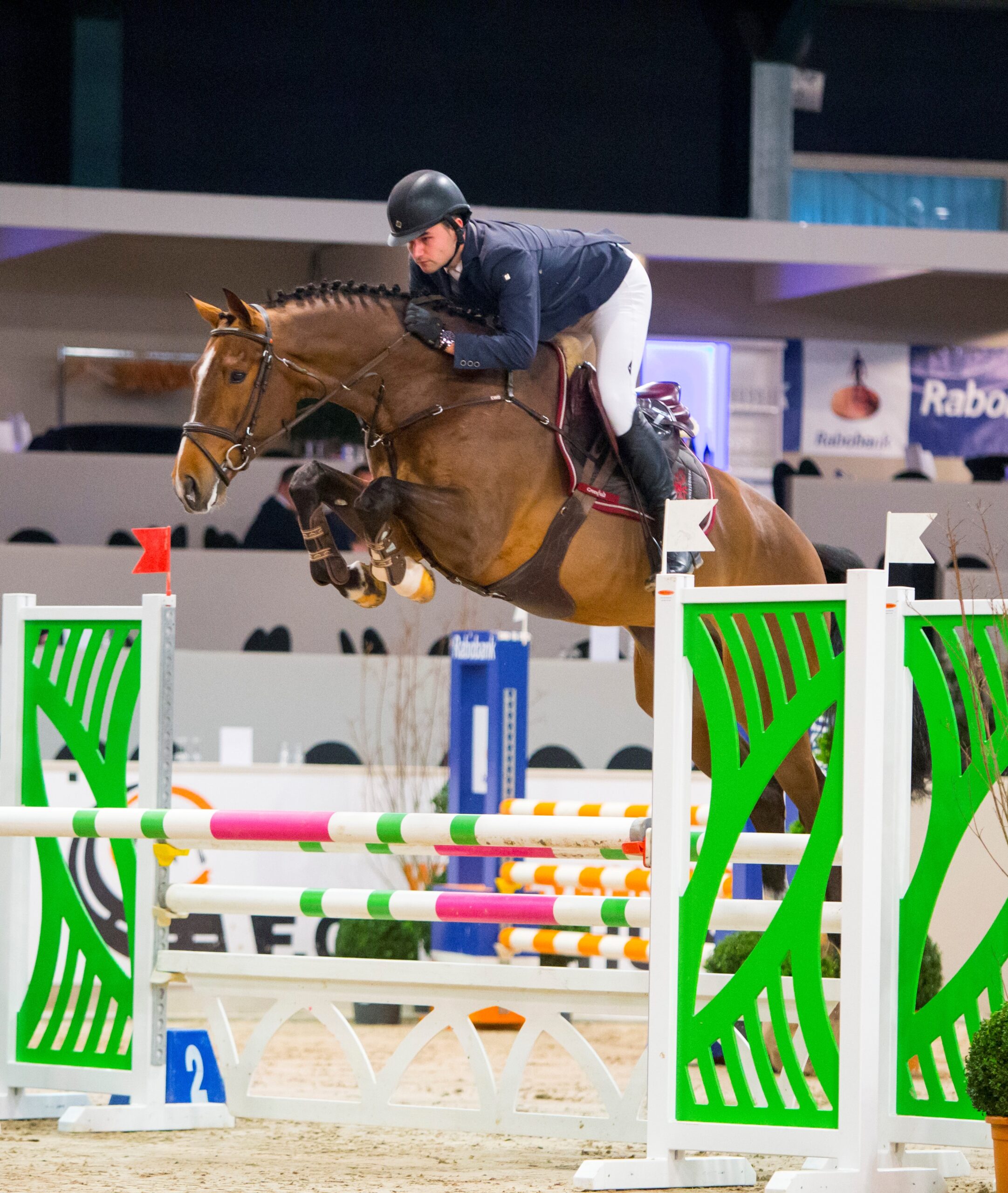 Opvallende prestaties Habitat BP in Den Bosch bij The Dutch Masters CSI5*