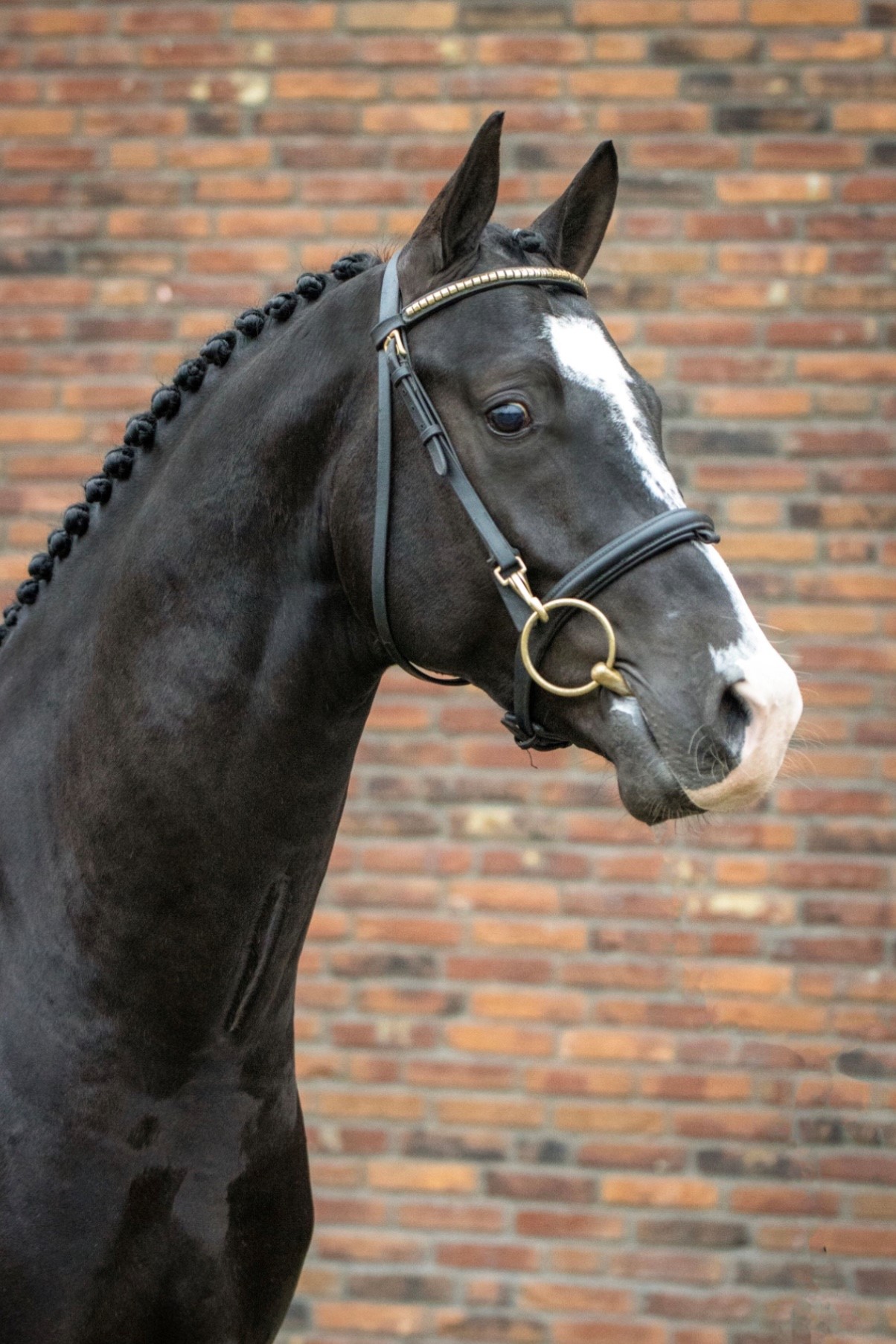 De KSS selectie is online!