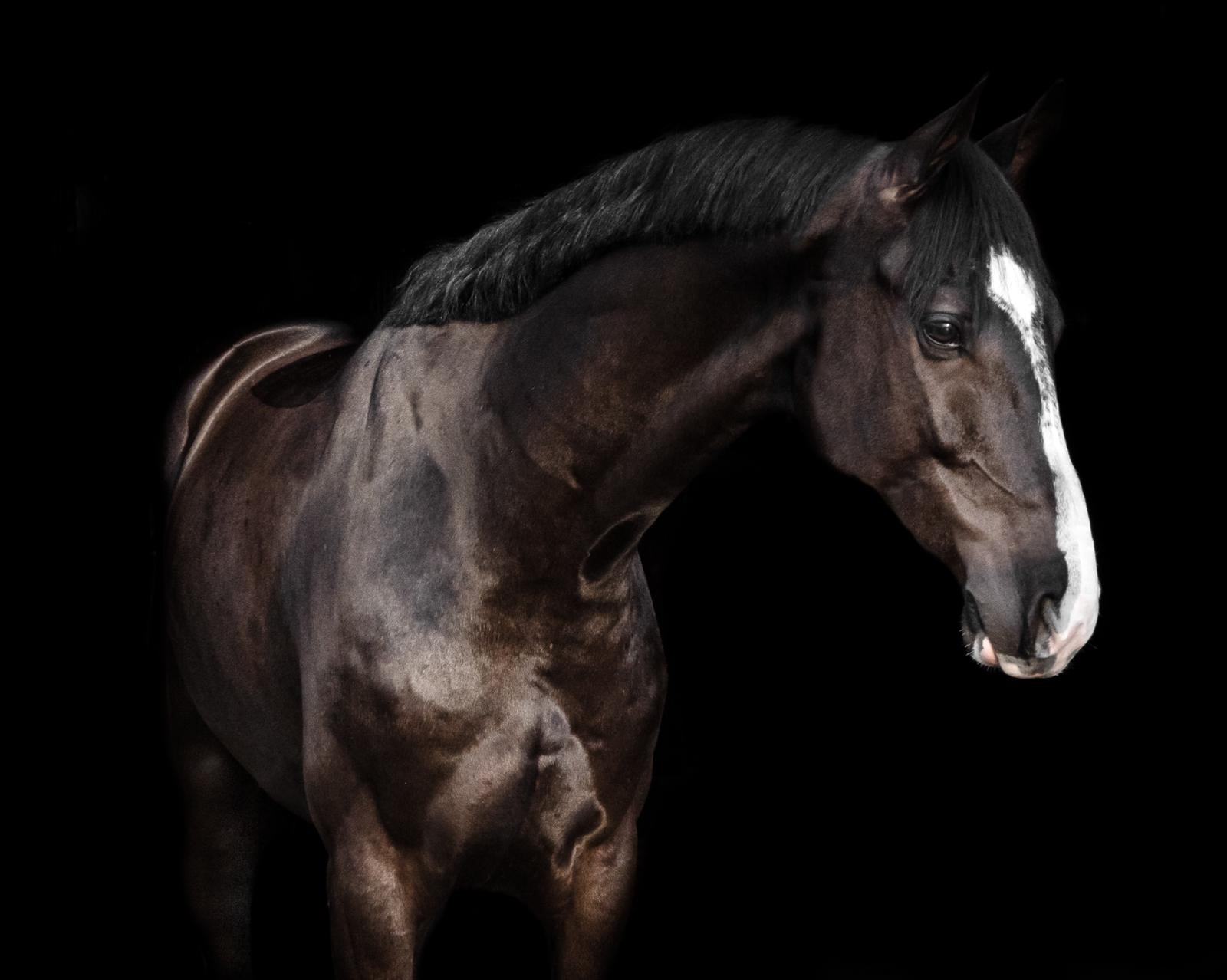 Lugano H&H verkocht naar Amerika