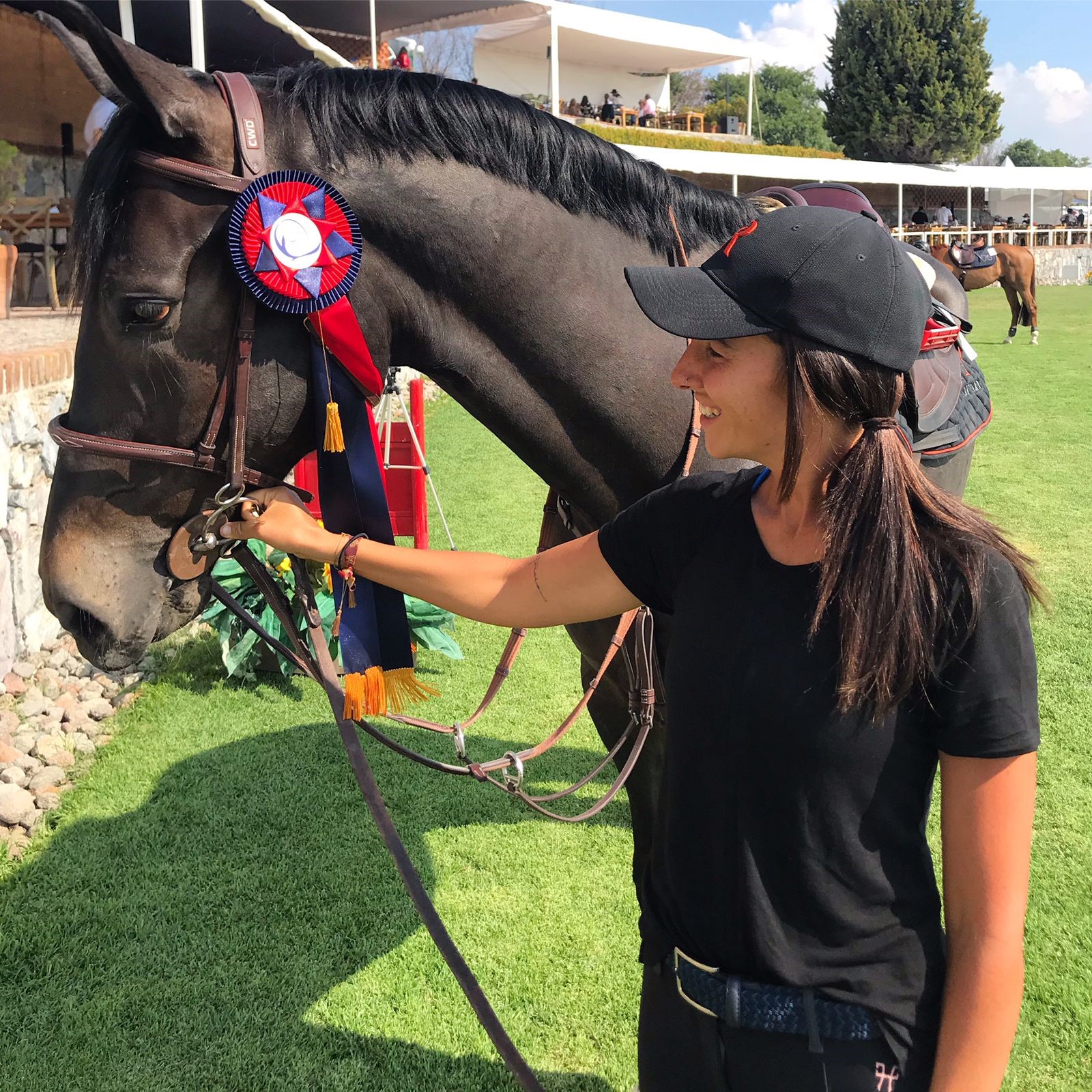 JF H&H geëxporteerd naar Mexico