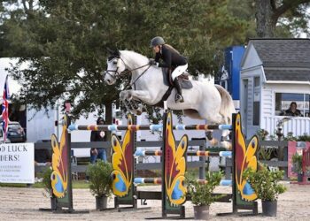 Prestaties van eerder verkochte HBC springpaarden: