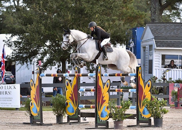 Prestaties van eerder verkochte HBC springpaarden: