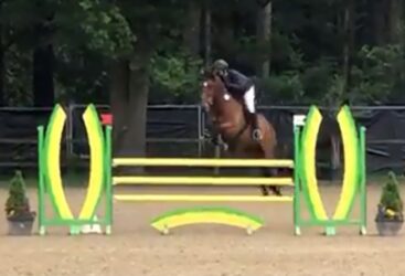 Springpaard Kudret HBC verkocht