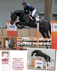De eerste merries zijn drachtig van Oerend Hard HBC!