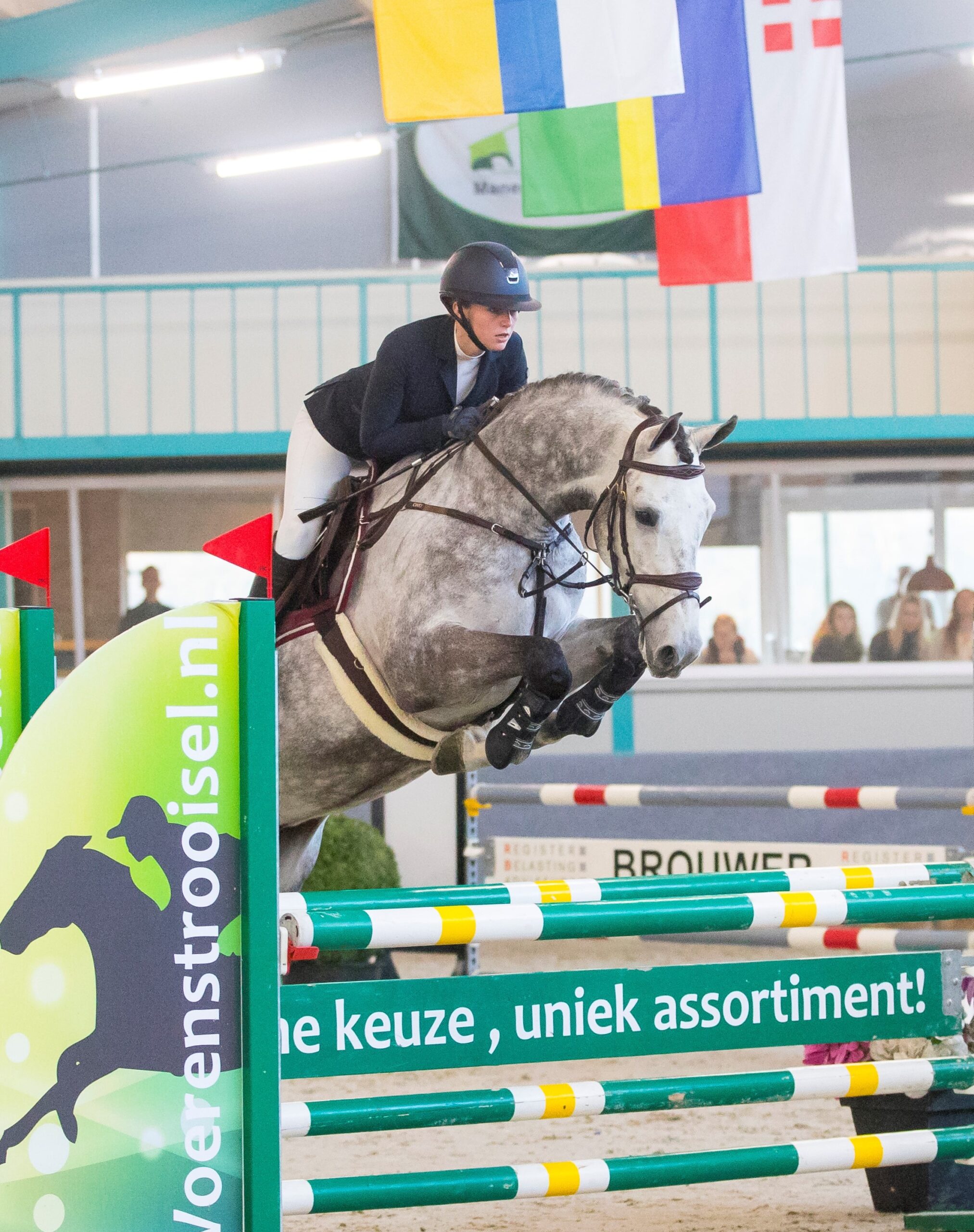 Jaspis HBC verkocht naar sportstal Wellington