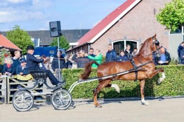 Montreal showt zich prima in Houten