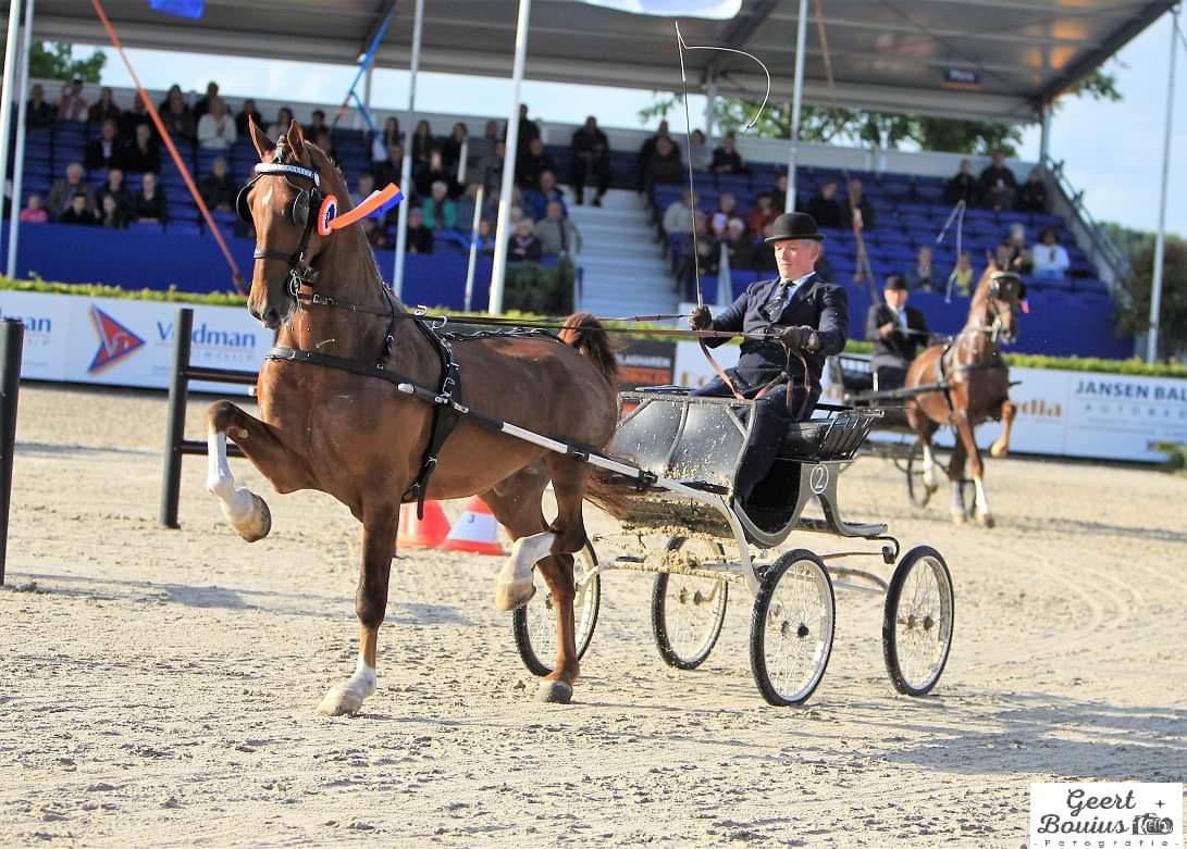 Mooie overwinning voor Montreal
