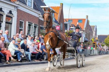 Tuigpaard Montreal HBC verkocht