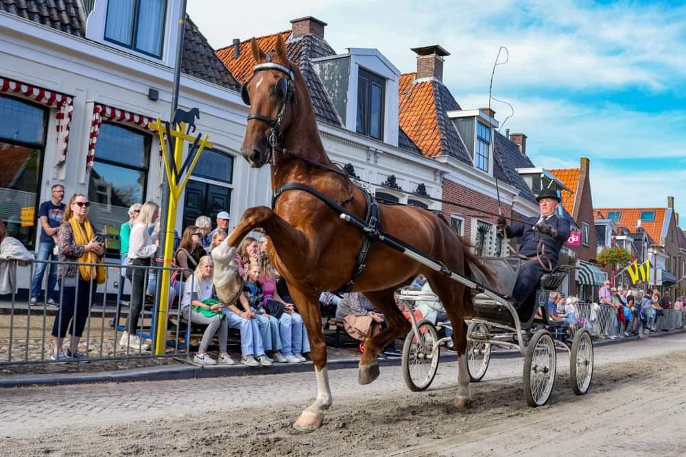 Montreal HBC wint open klasse in Workum