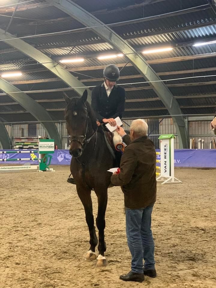 Sportprestaties jonge paarden
