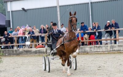 Winst voor Montreal in IJsselmuiden