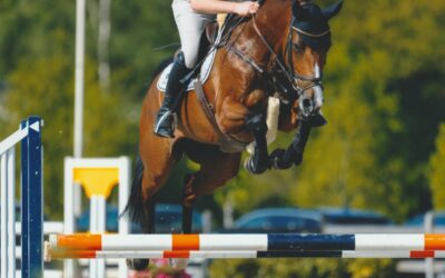 Meline HBC verkocht.