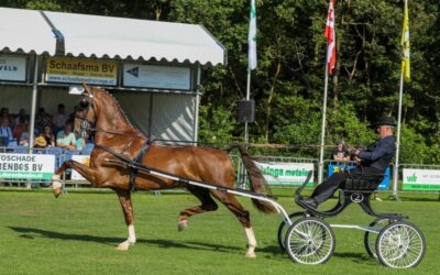7 augustus 2024 CH Buitenpost: