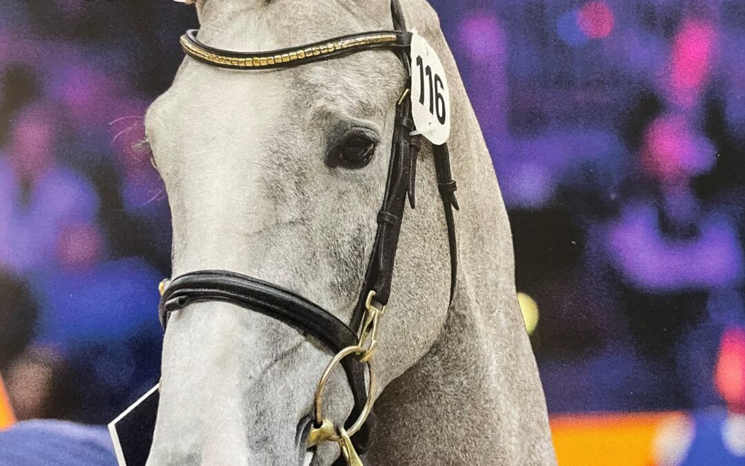 Succesvol wedstrijddebuut voor Sixth Sense HBC