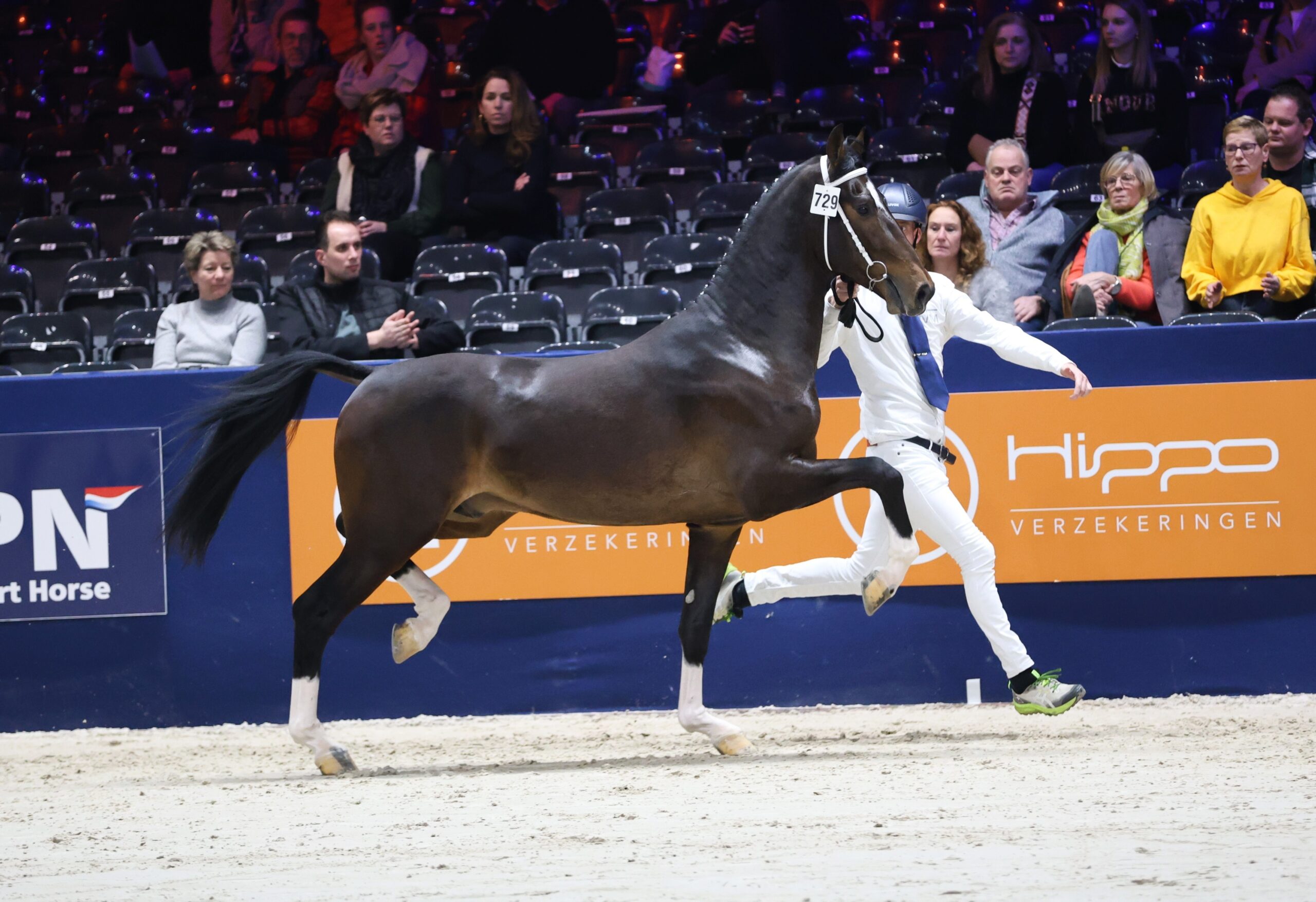 1 februari 2025: Sorrento aangewezen voor het verrichtingsonderzoek