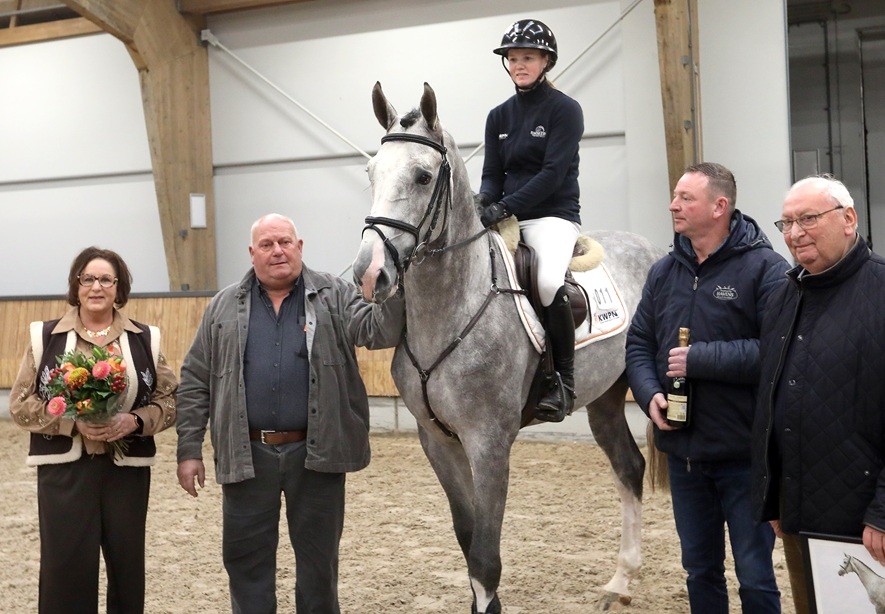 Springhengst Sixth Sense HBC goedgekeurd door KWPN na succesvol najaarsonderzoek