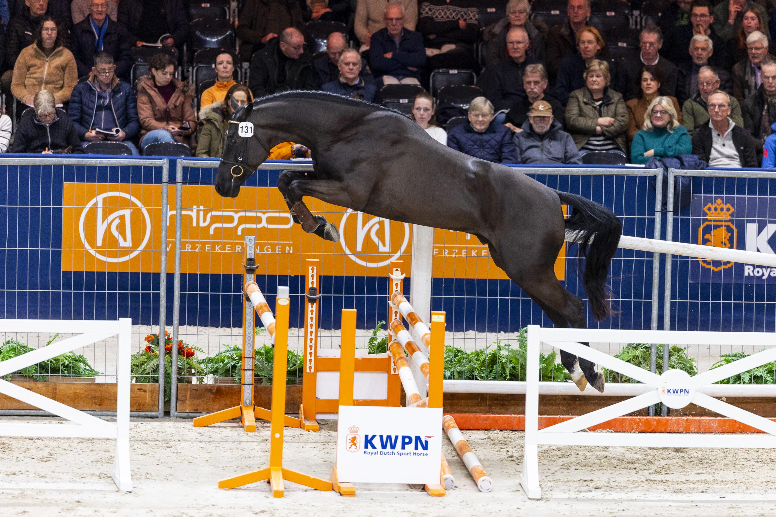 Taco HBC - Afbeelding 2
