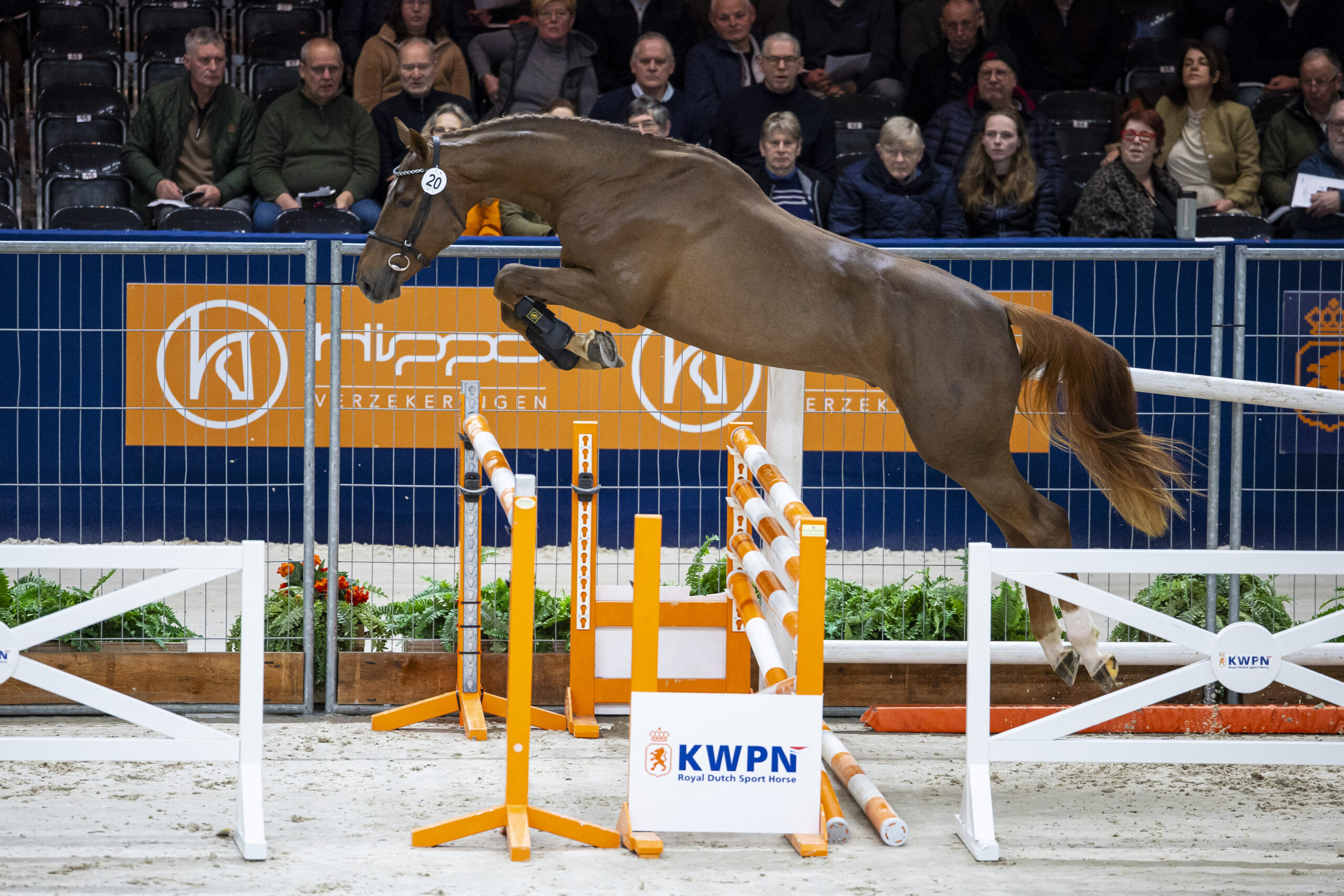 Thorbecke HBC