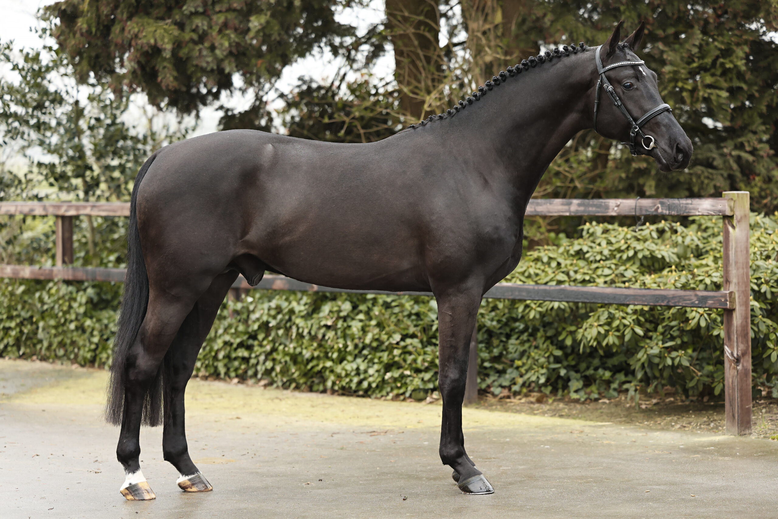 Taco HBC - Afbeelding 3