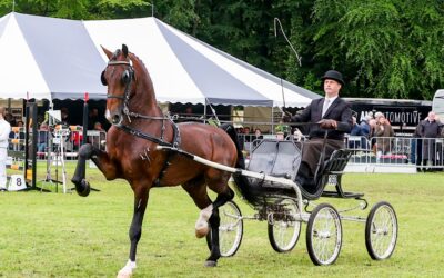 2e plaats op wedstrijddebuut voor Sjimmie HBC