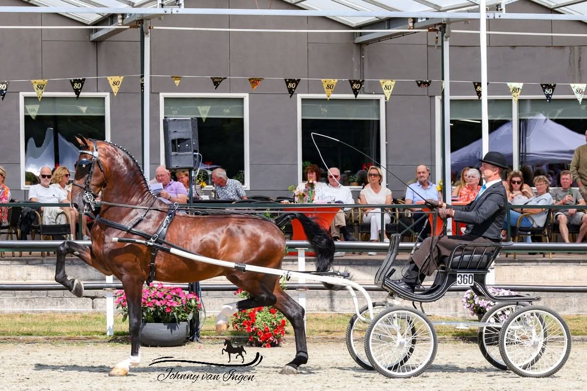 Bijzonder optreden van onze 4-jarige Sjimmie HBC